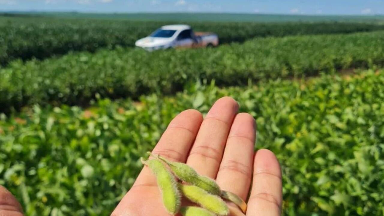 Mato Grosso do Sul exporta 7,6 milhões de toneladas de soja e atinge recorde histórico