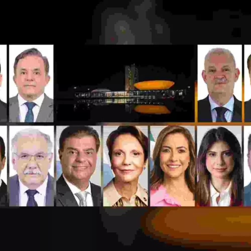 Bancada de MS participa da eleição. (Montagem Midiamax, Nathália Alcantara, Reprodução Casas de Leis)