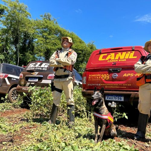 Equipe de Busca com Cães do CBMMS localiza ossada de vítima desaparecida após 70 dias