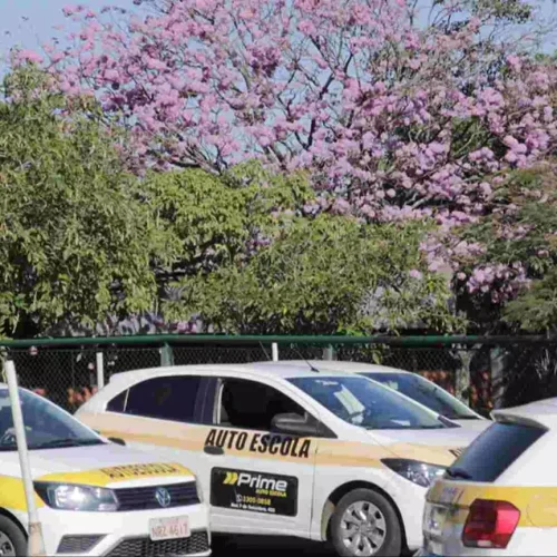 Espaço de aulas práticas (Divulgação, Detran)