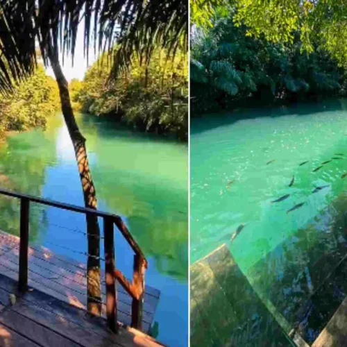 Balneário Bosque das Águas, em Bonito (Reprodução)