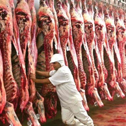 Setor de carnes é destaque da região. (Foto: Divulgação, Semadesc)