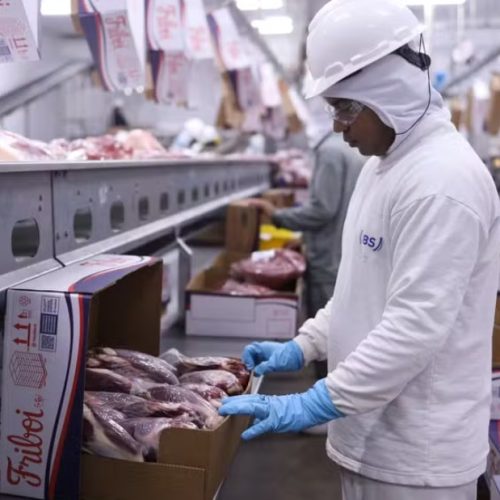 Exportação de MS para novos mercados cresce até 1.424% e anula prejuízo do tarifaço de Trump