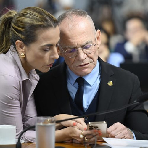 Campo progressista não pode romantizar segurança, diz Contarato