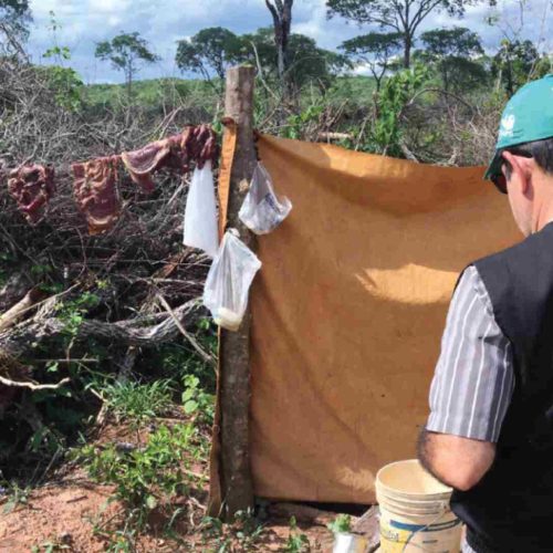Fiscalização do MPT em fazenda denunciada por trabalho forçado em MS. (MPT-MS, divulgação)