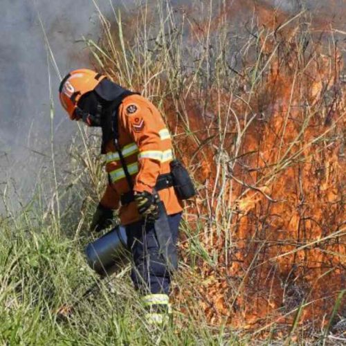 Queima prescrita no Pantanal (Bruno Rezende, Secom)