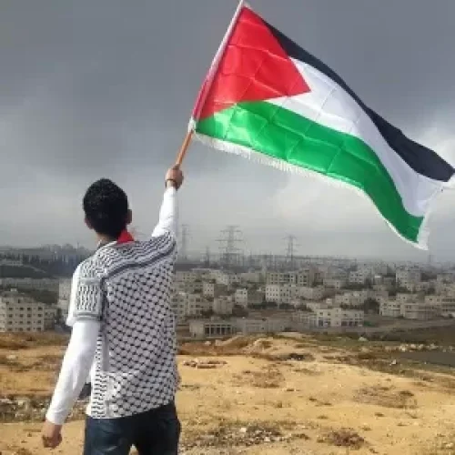 Hoje, 151 dos 193 paises-membros da ONU reconhecem oficialmente a Palestina Imagem: Rawpixel