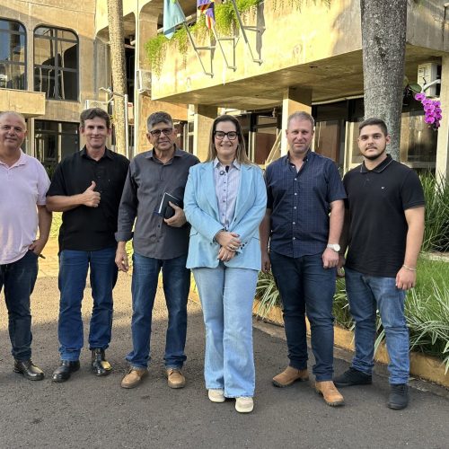 Rhaiza Matos e produtores reivindicam retomada da MS-290