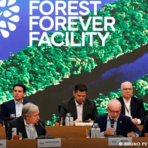 Fundo para florestas tropicais atinge aporte de US$ 5,5 bilhões