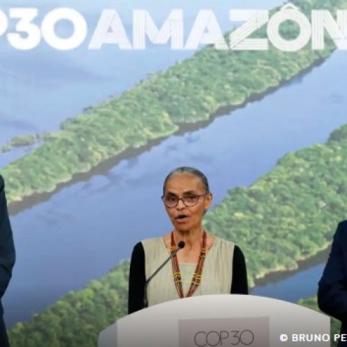 Alemanha dará 1 bilhão de euros para florestas tropicais, diz Marina