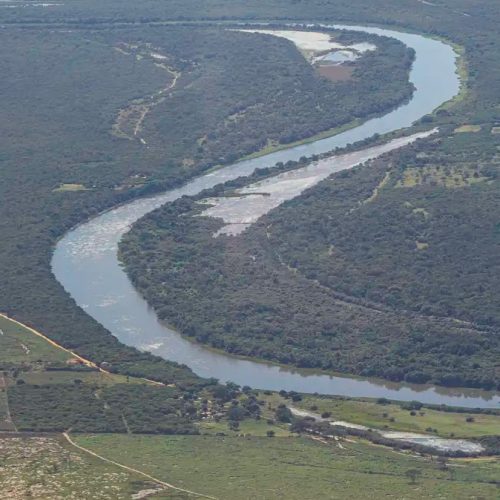 Mata Atlântica perde 2,4 milhões de hectares em 40 anos