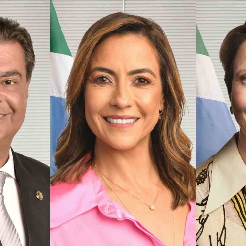 Senadores Nelsinho Trad, Soraya Thronicke e Tereza Cristina. (Montagem: Divulgação, Senado Federal)