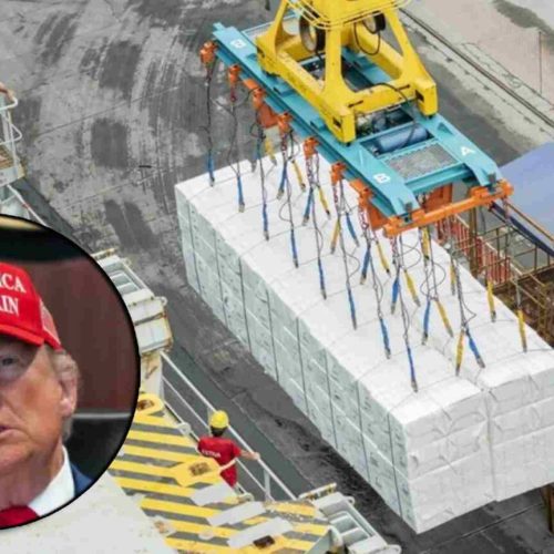 Exportação aos Estados Unidos — ilustrativa. (Reprodução/Detalhe de Trump, Divulgação Casa Branca)