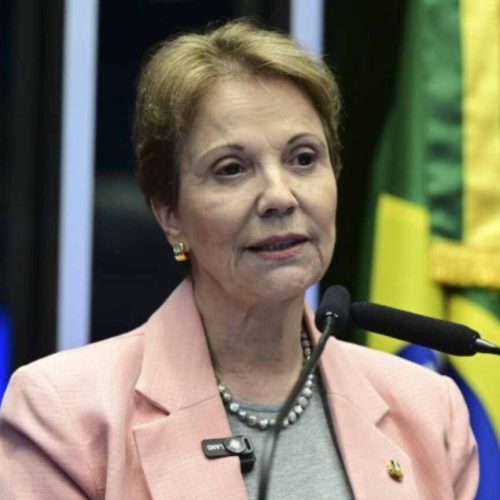 Senadora Tereza Cristina. (Divulgação)