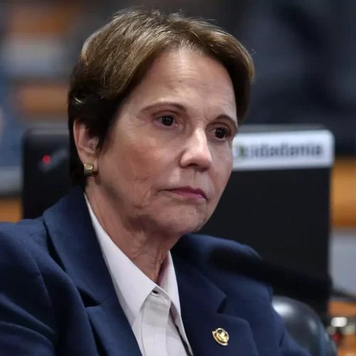 Senadora Tereza Cristina | (Edilson Rodrigues/Agência Senado)